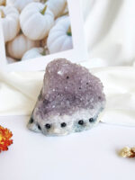 紫水晶簇晶石宠物